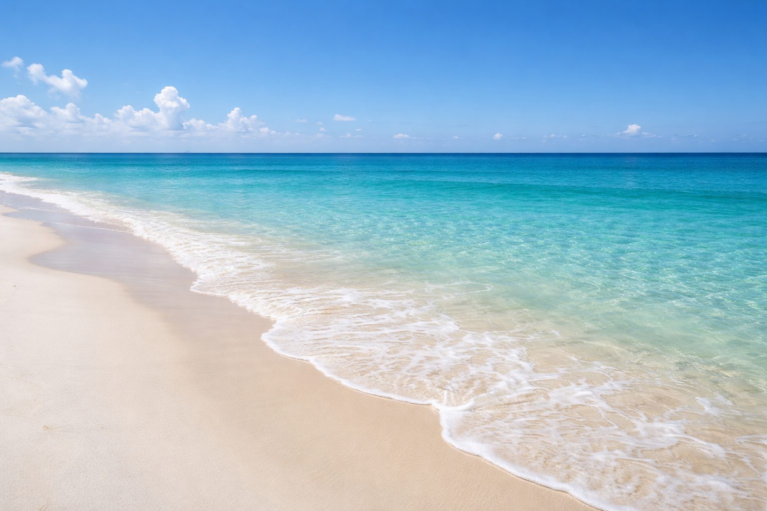 What is a binder, by Sunshine REALTOR, Trena Kendrick